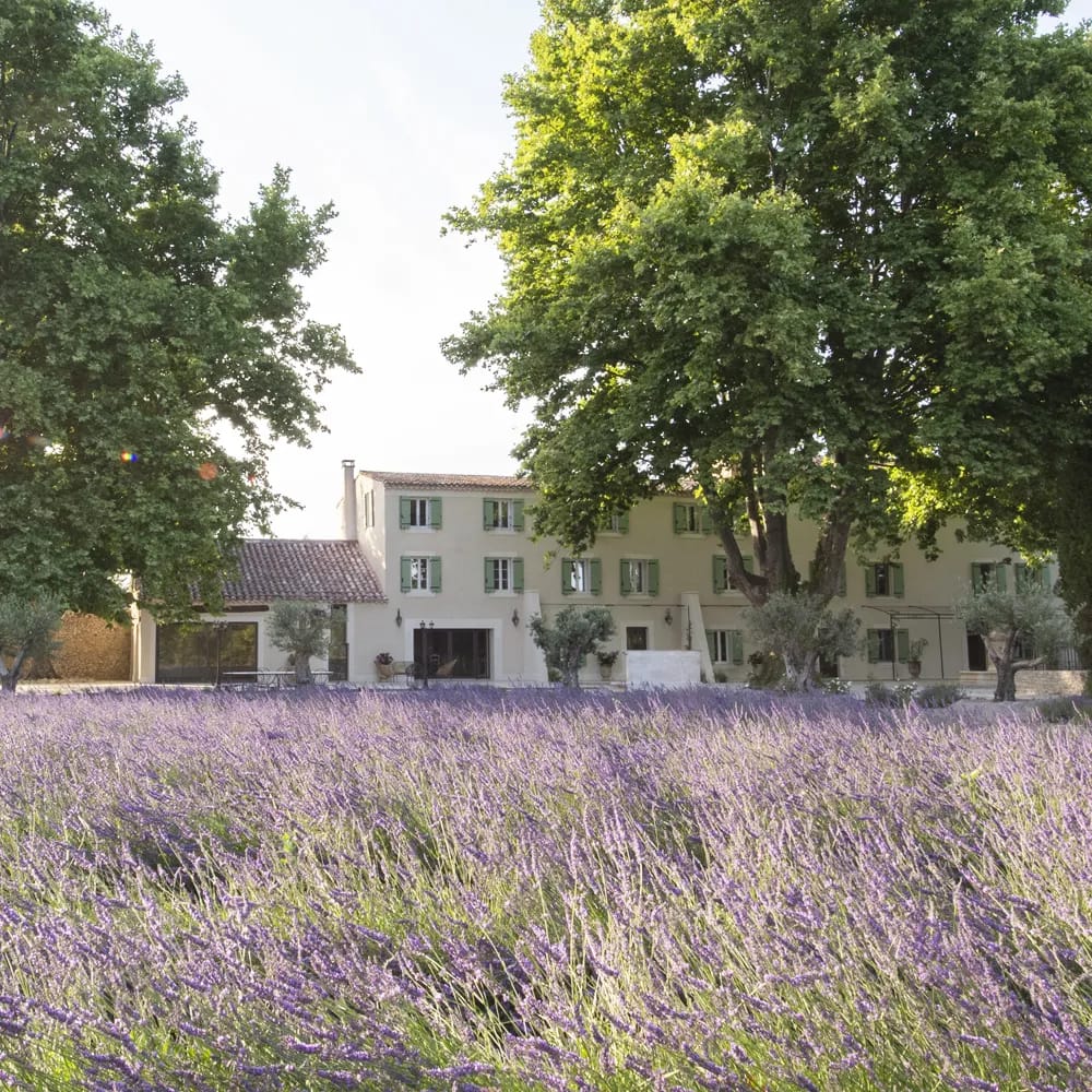 provence wedding bastide