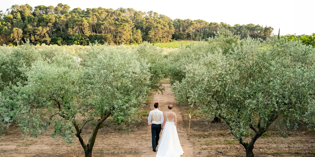 olive grove wedding