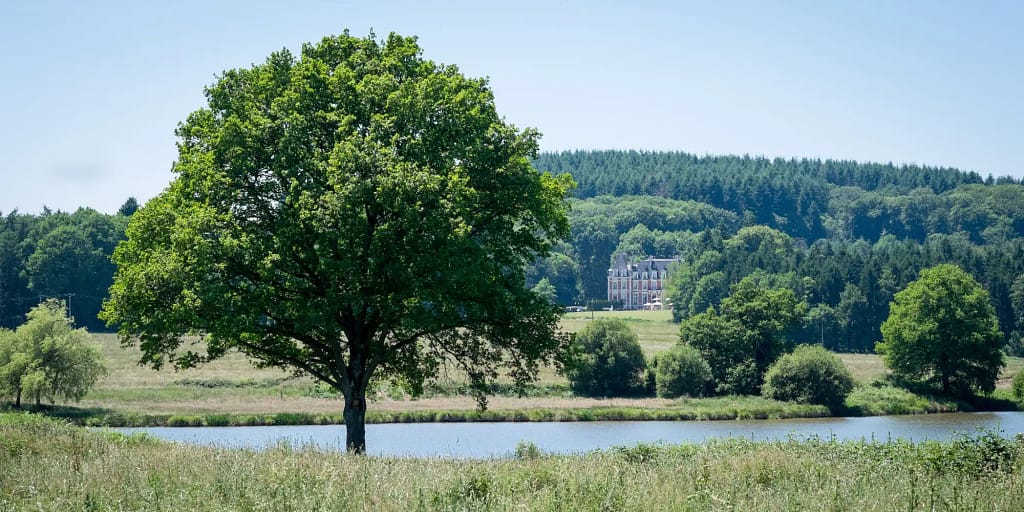 domaine mariage luxe limoges