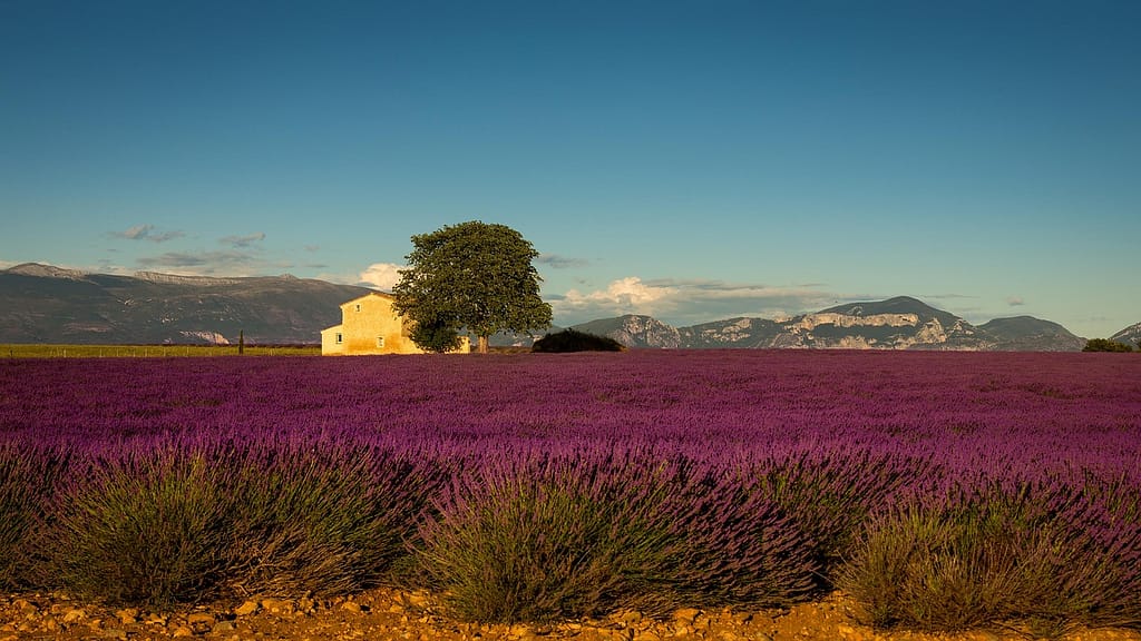 Provence