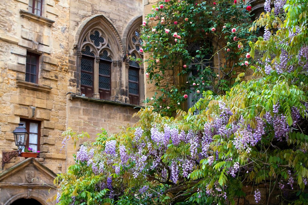 sarlat wedding venue