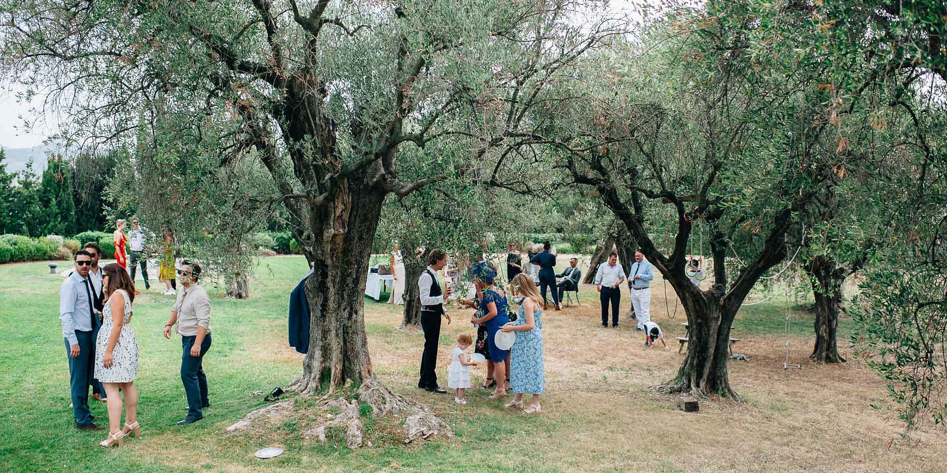 french wedding venue olive tree