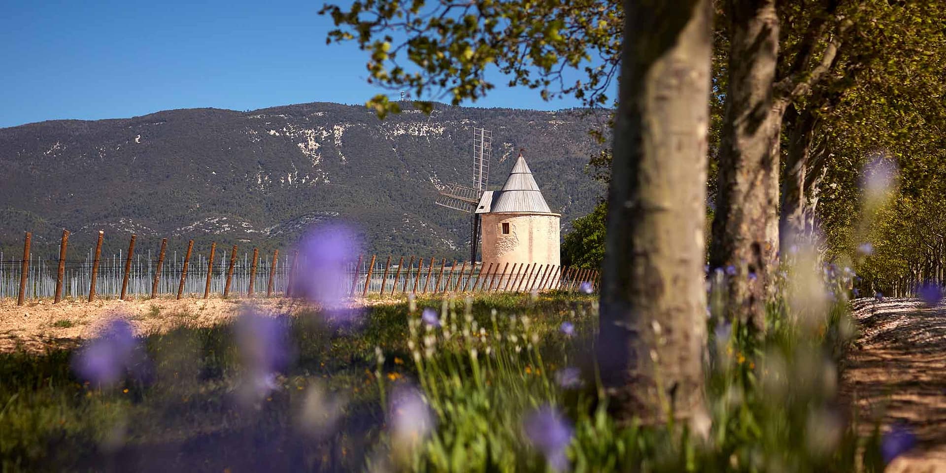 wedding venue in lavender provence