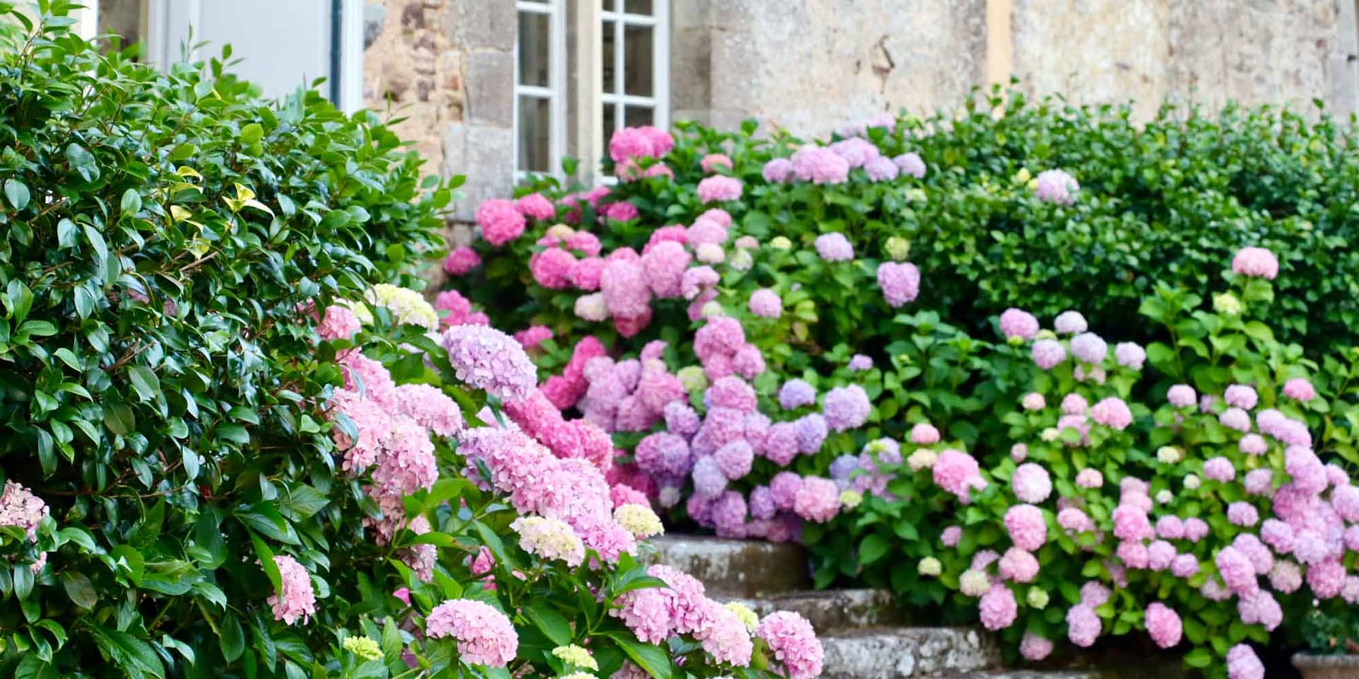 chateau pordor wedding Nantes