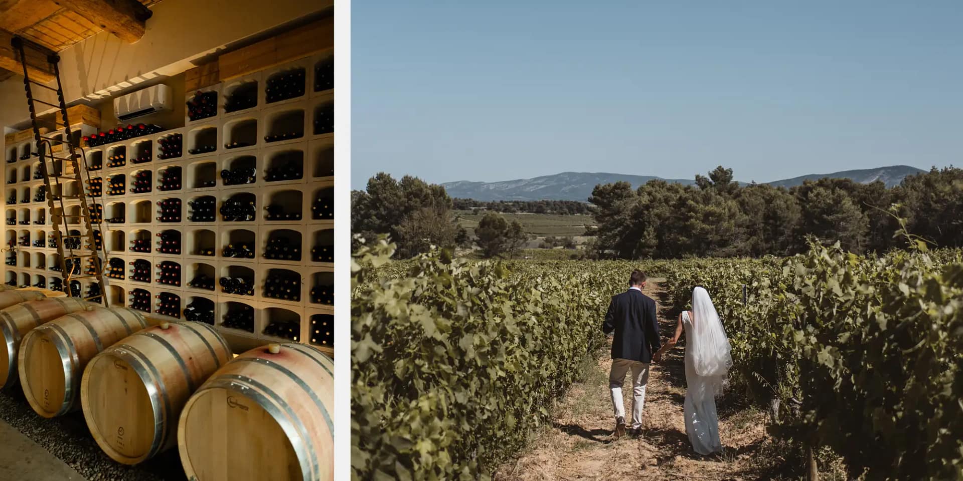 wedding in a vineyard france