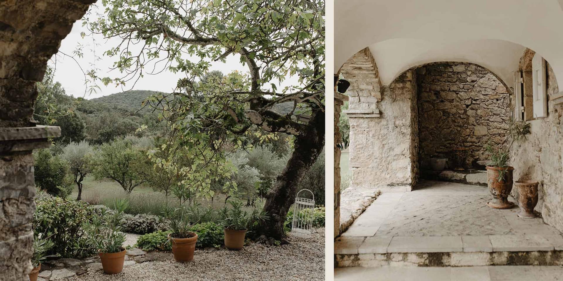 wedding france olive trees