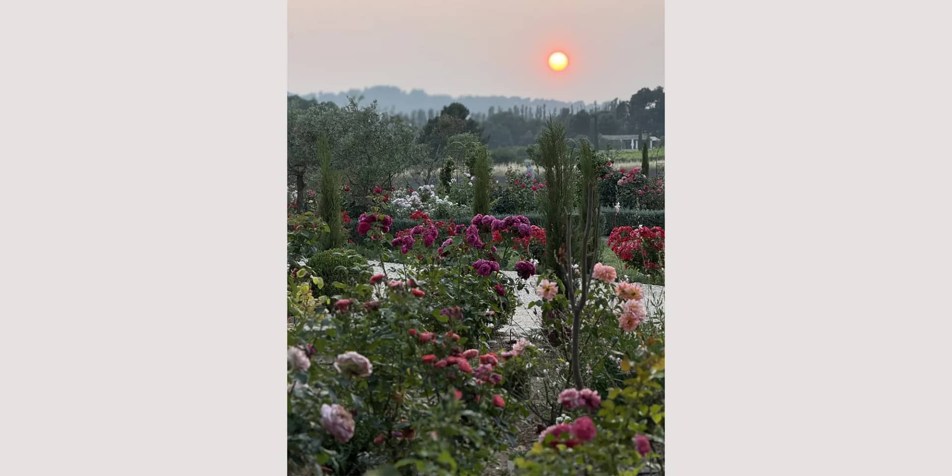 garden wedding france