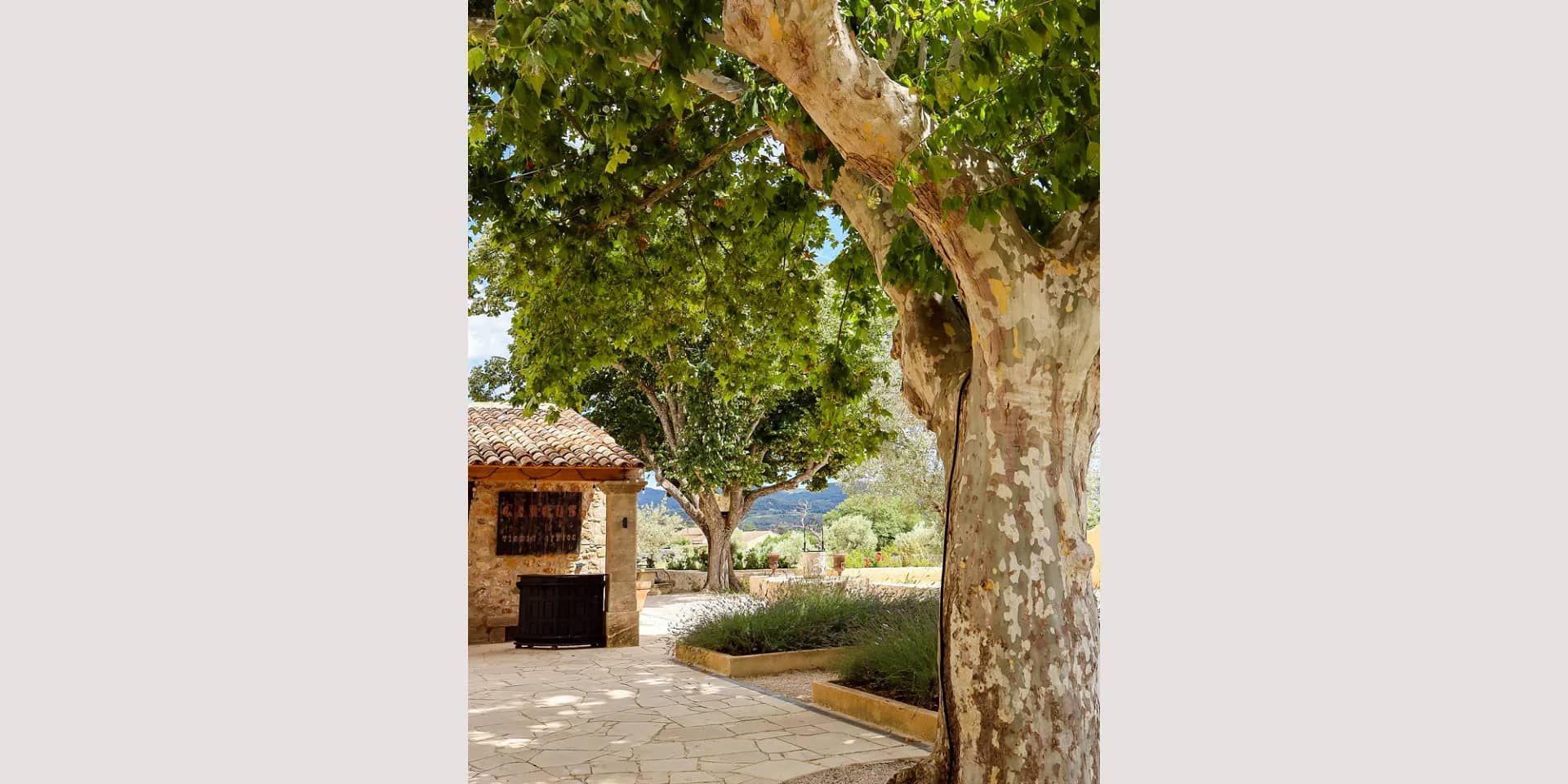 best provence wedding venues