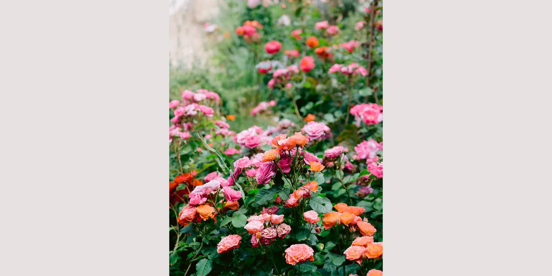 flower filled provence wedding