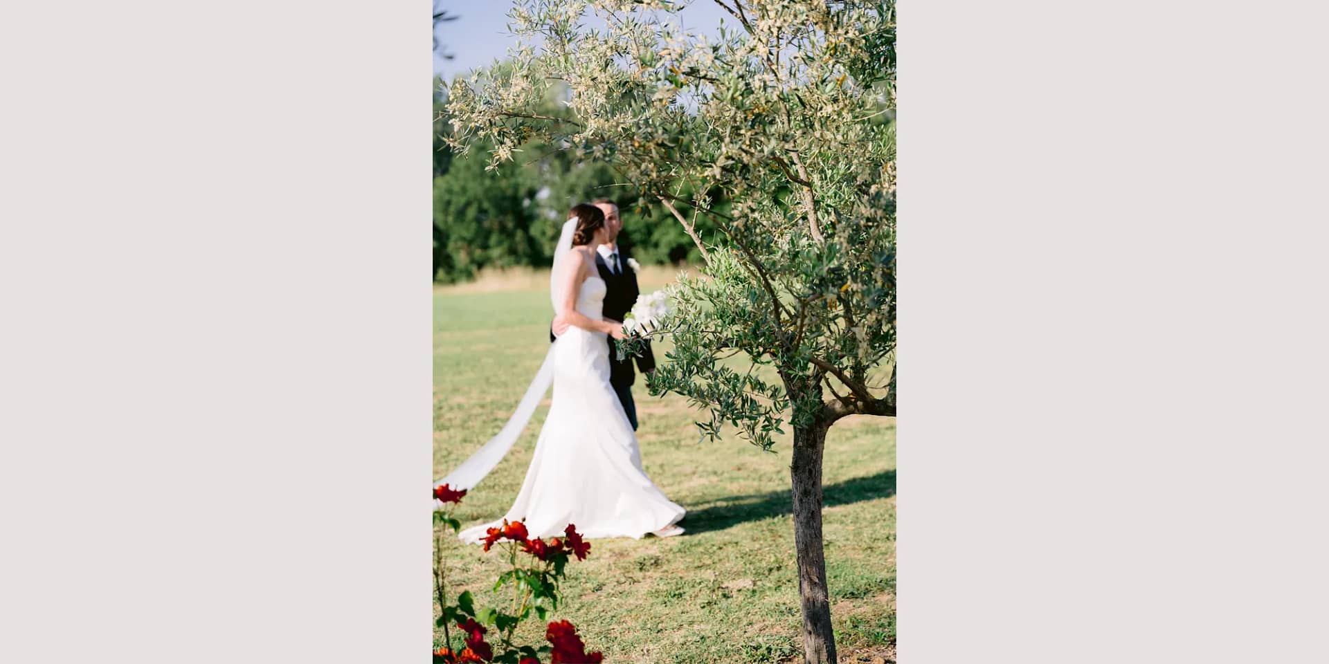 domaine d'egenia wedding ceremony in olive trees