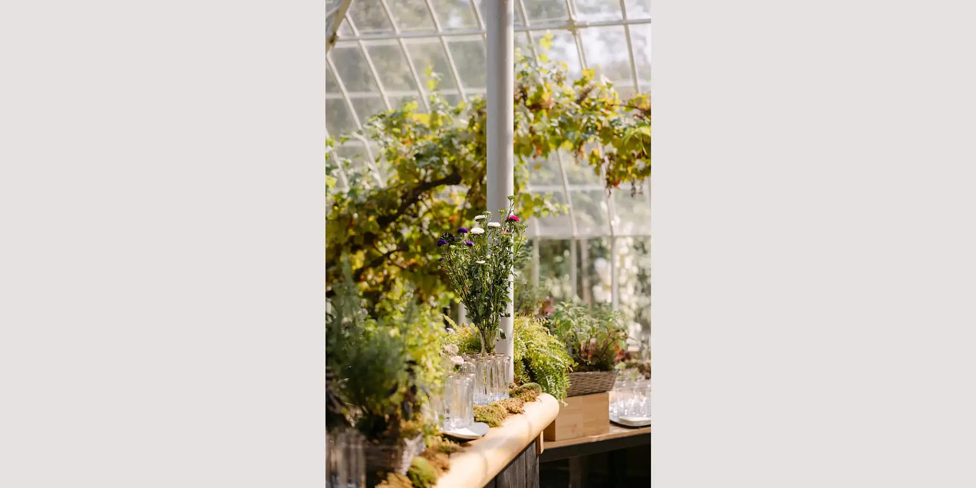 Le mezo wedding reviews