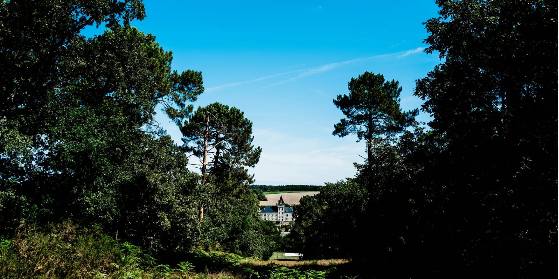 chateau to get married France