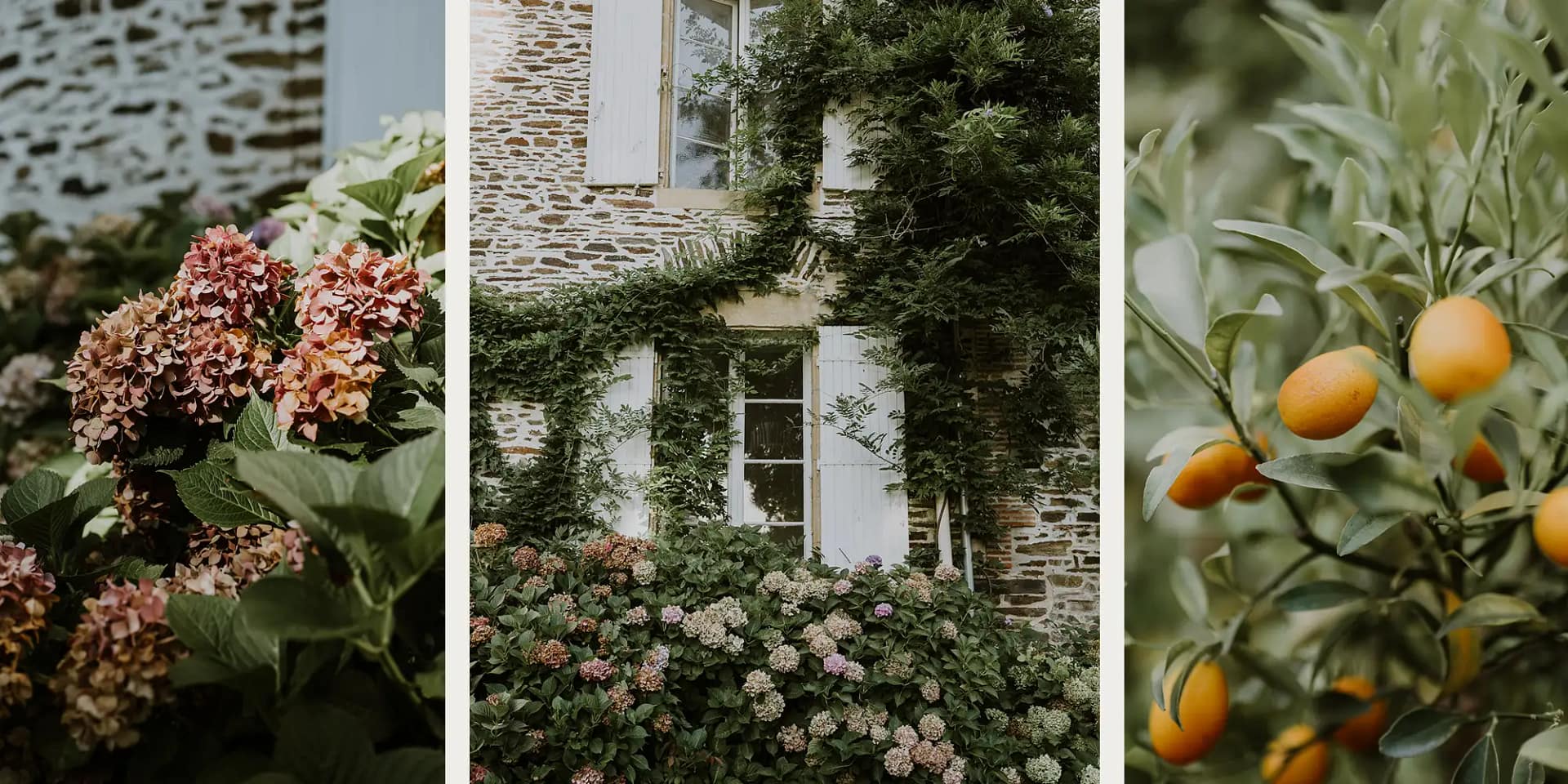 romantic chateaus dordogne
