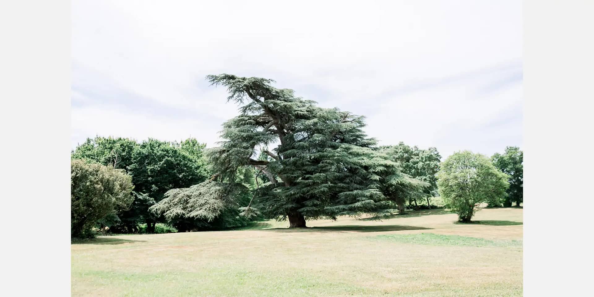 venue with greenery france