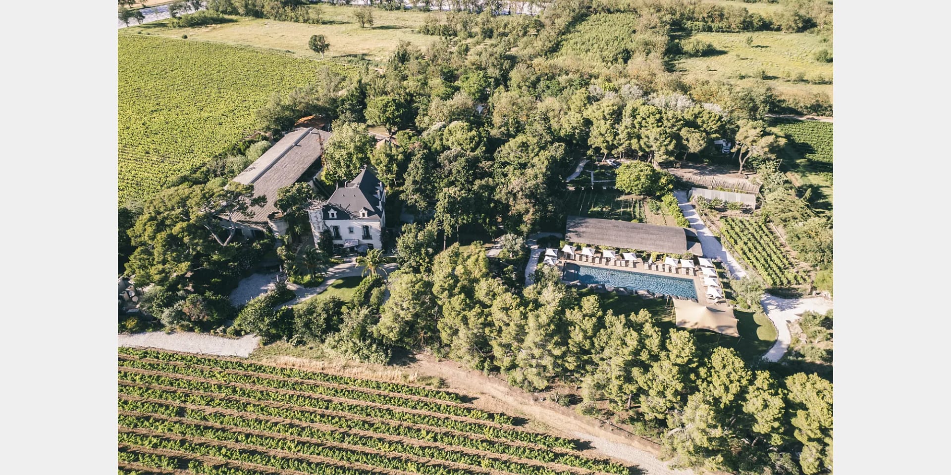 domaine tarbouriech wedding