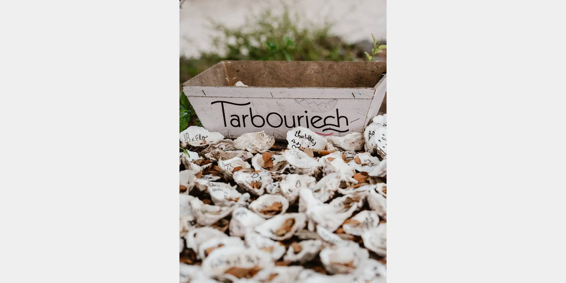 oyster tarbouriech wedding