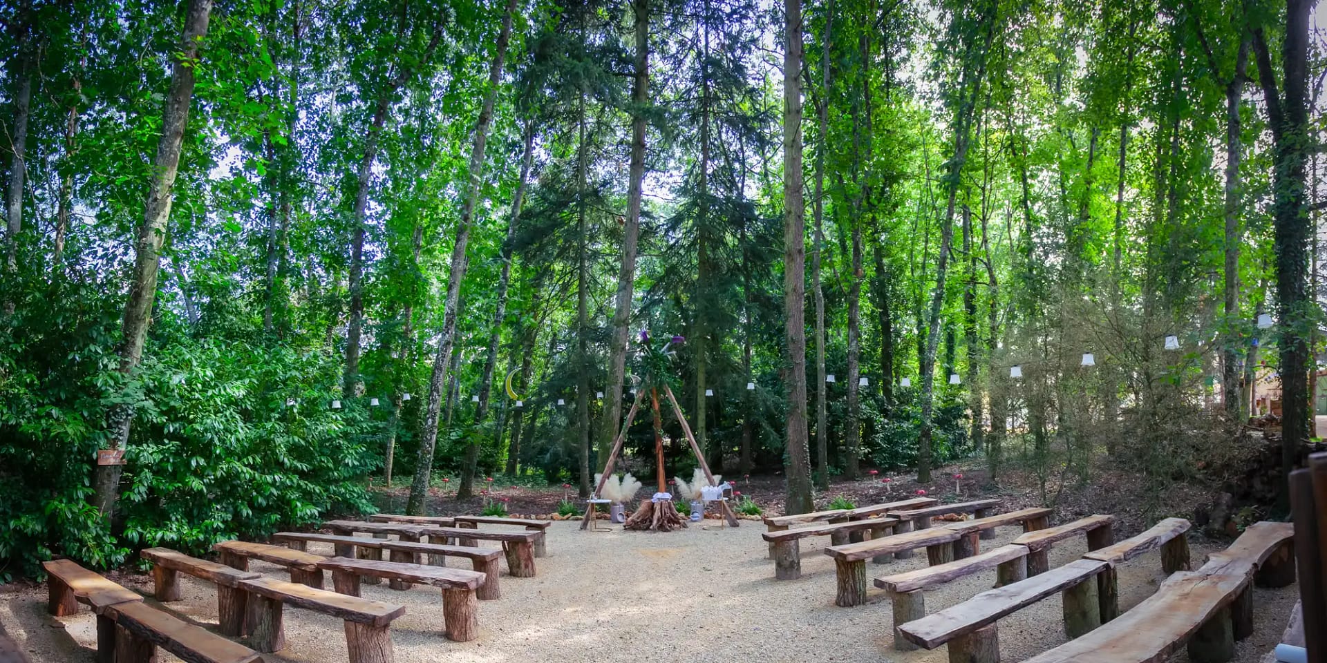 wedding in a forest