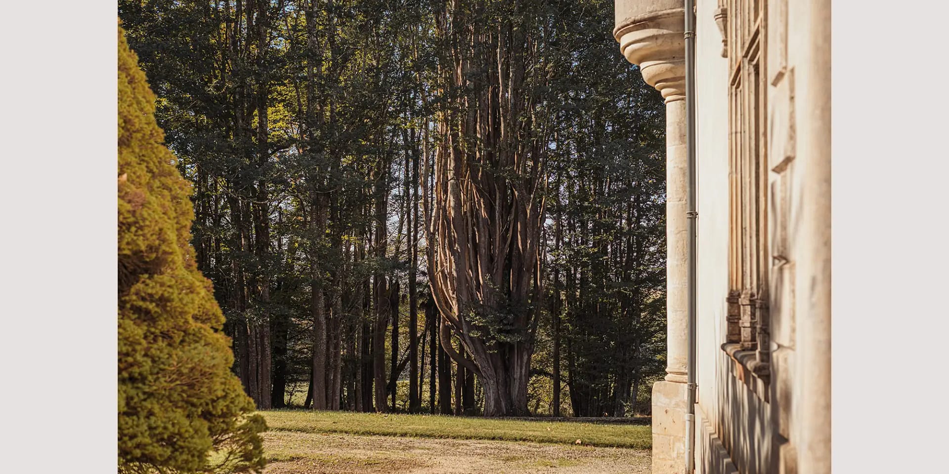 fairytale outdoor wedding