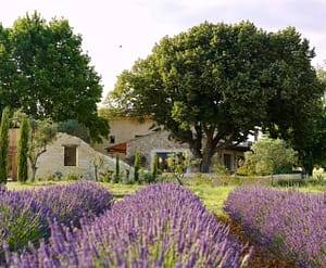 provence wedding venue