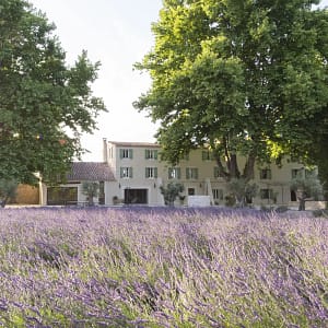 provence wedding bastide
