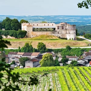 Chateau de Bouteville