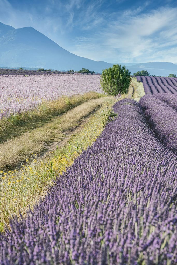 provence wedding venues